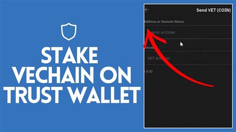 vechain wallet staking